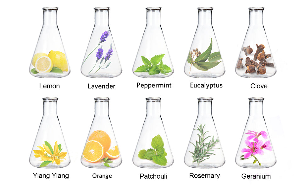 Premium aromatherapy oil set